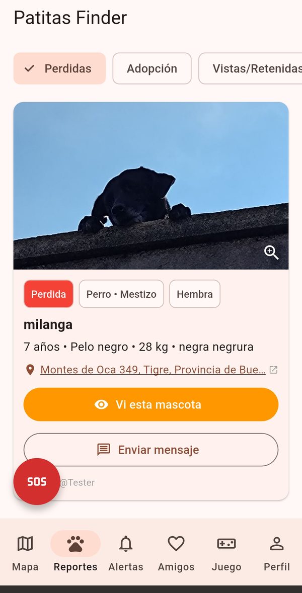 Listado de mascotas perdidas en Patitas Finder
